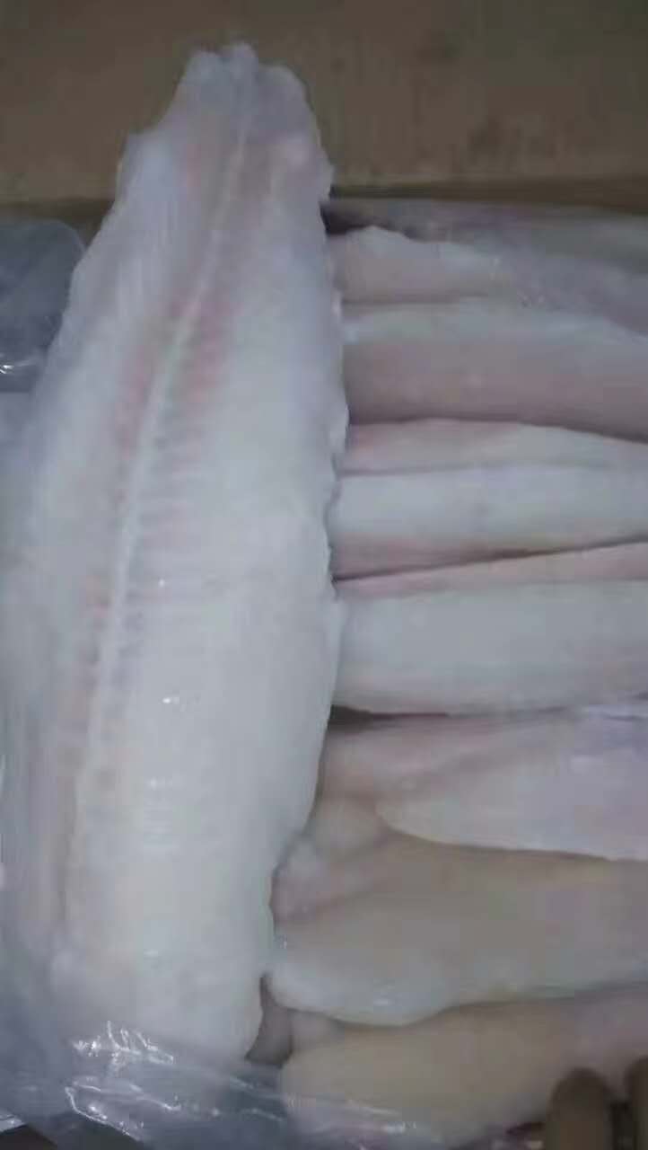 首页 供应 水产品 淡水鱼类 巴沙鱼