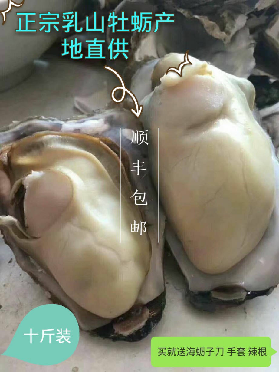 乳山牡蛎