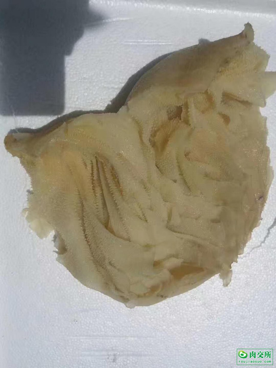 水发 牛百叶图片