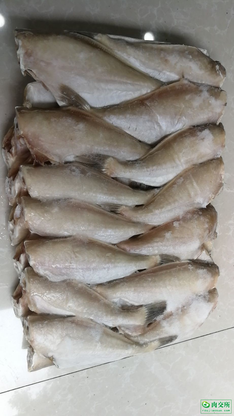 三去马面鱼批发重庆南岸区三去马面鱼价格_肉交所