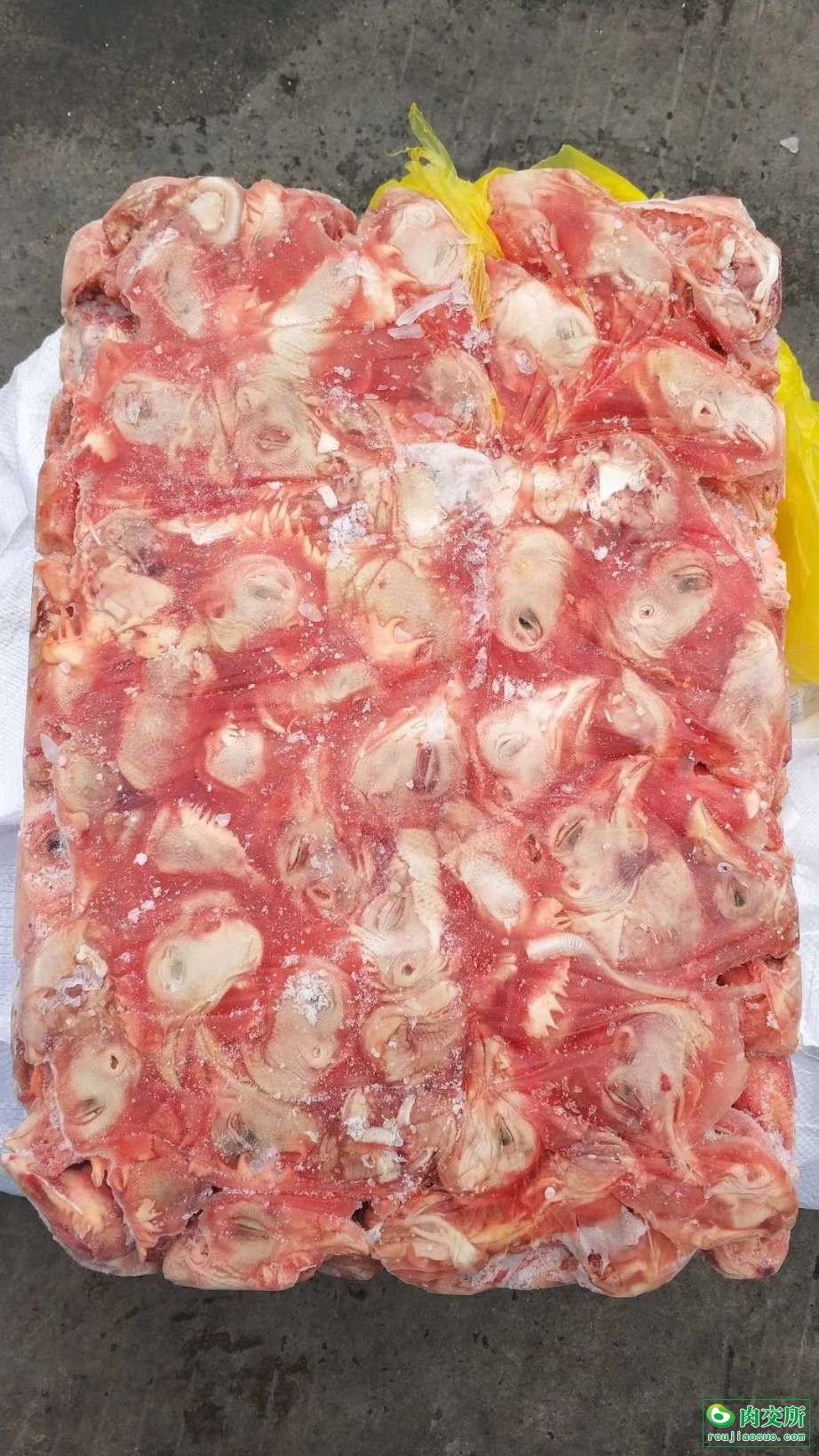 鸡头批发山东临沂市鸡头价格_肉交所
