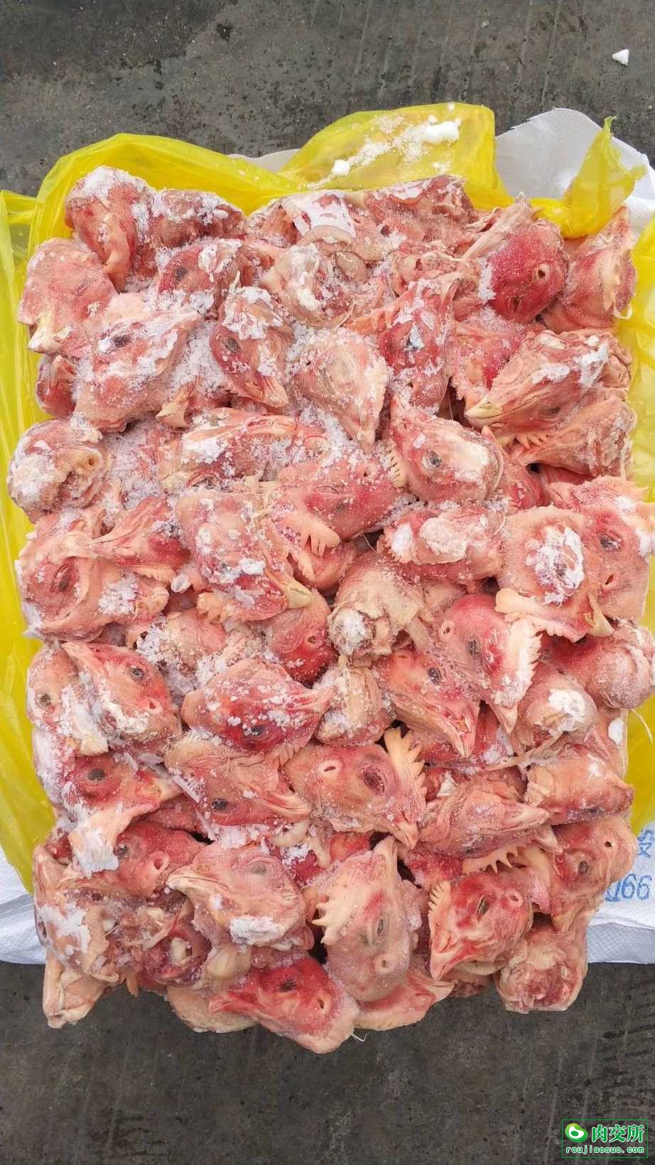 鸡头批发山东临沂市鸡头价格_肉交所