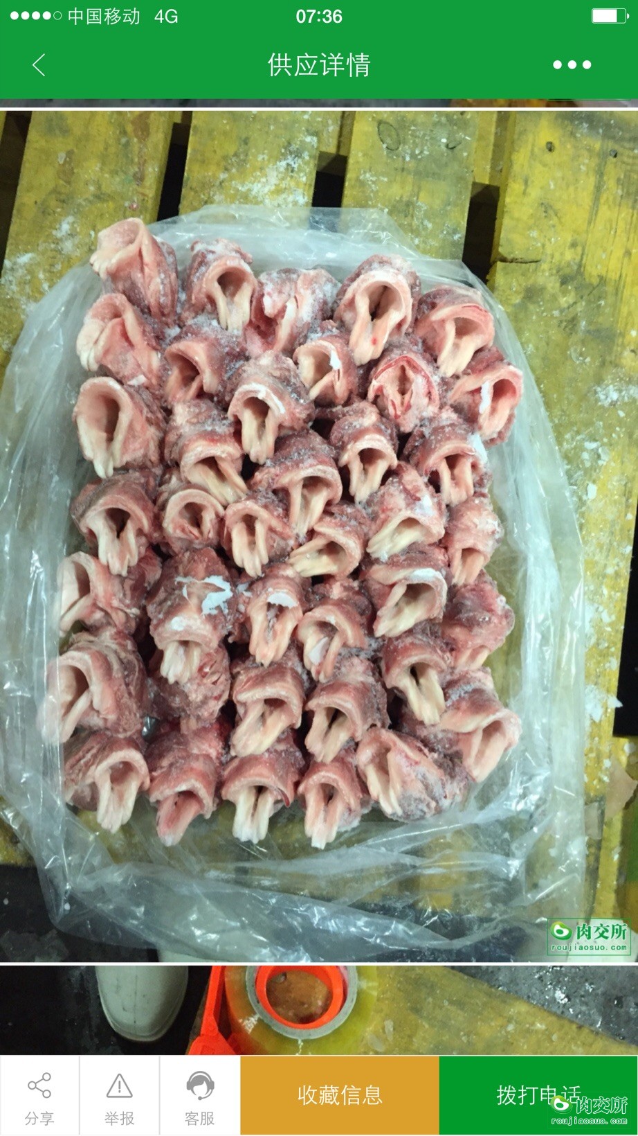 猪喉头
