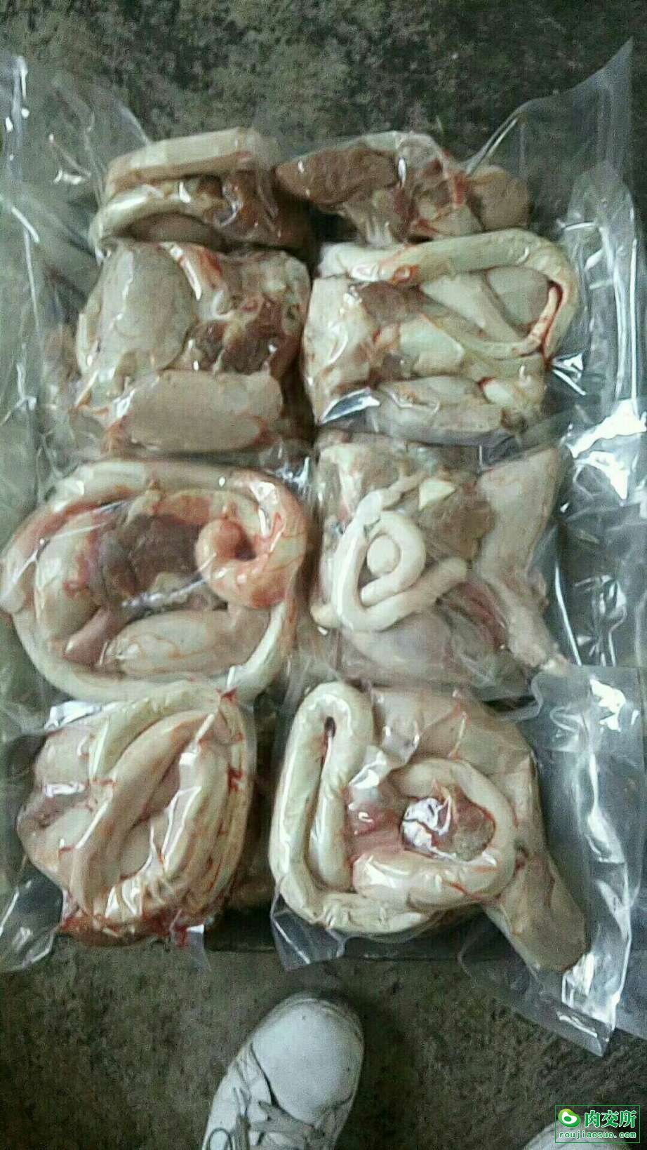 国产牛鞭