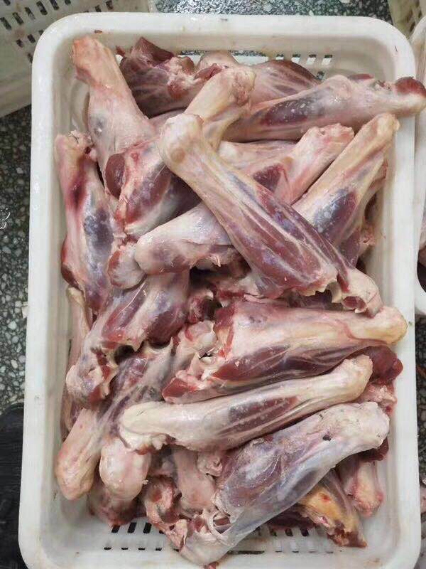 国产羊前腱
