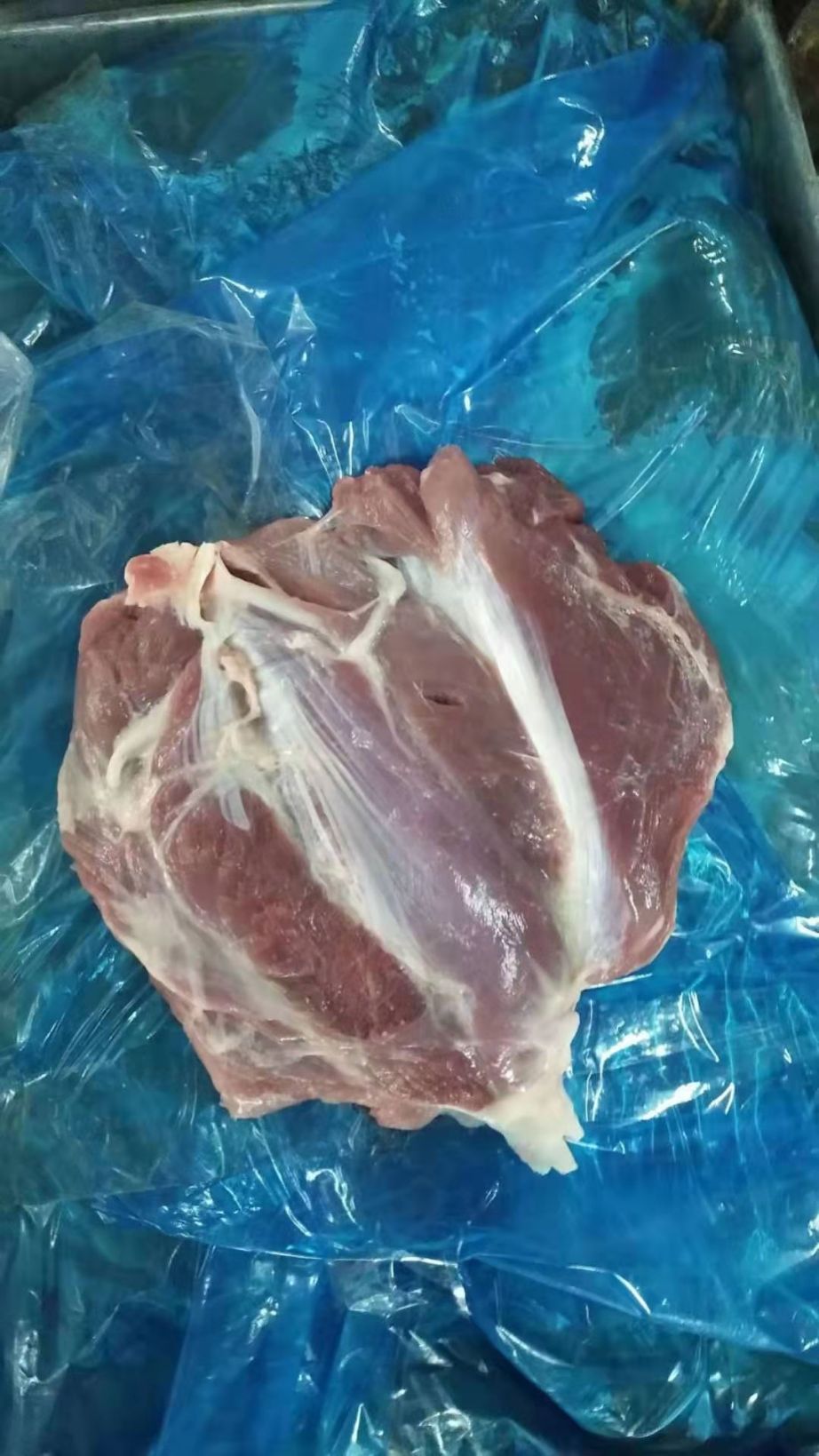 母猪精修龟肉