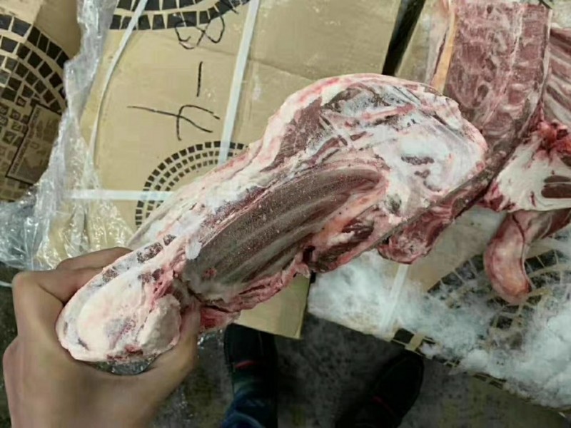 羔羊前四分体