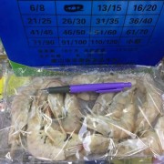 国产唐山青虾