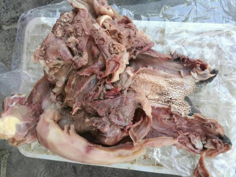 牛头肉