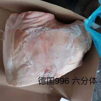 猪前段