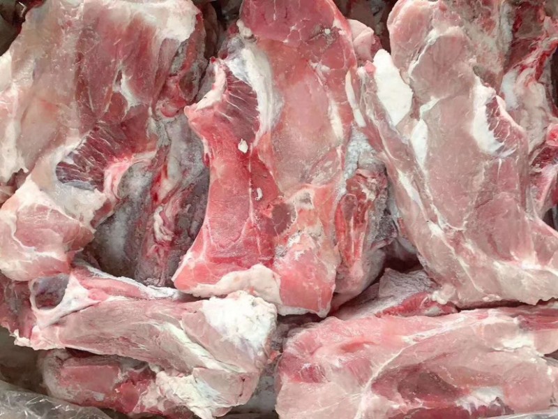 肥猪多肉尾叉骨