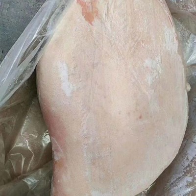 猪后段  66厂