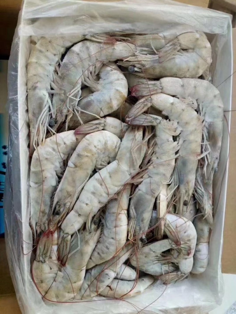 王牌大虾王牌大虾是进口的还是国产的