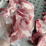多肉前棒骨筒骨