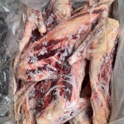 牛软肋 艳翅骨