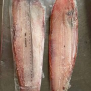 塞内加尔舌鳎鱼
