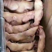 熟猪头肉