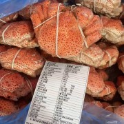 智利鳕蟹