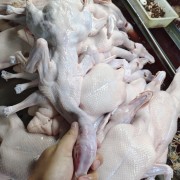 白条鸭2.7斤