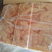 一级生大肠
