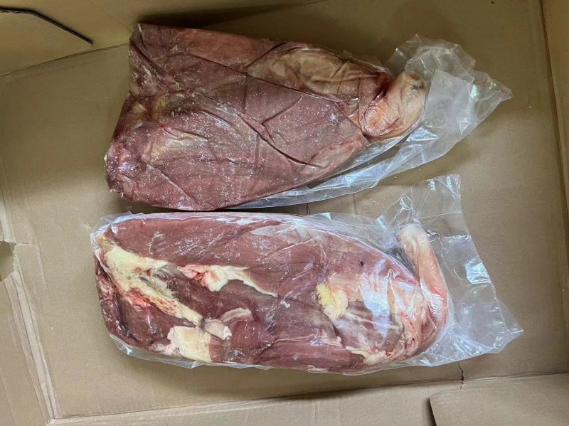 牛龟腱带金钱腱 2520厂