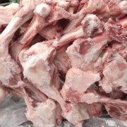 784后腿骨