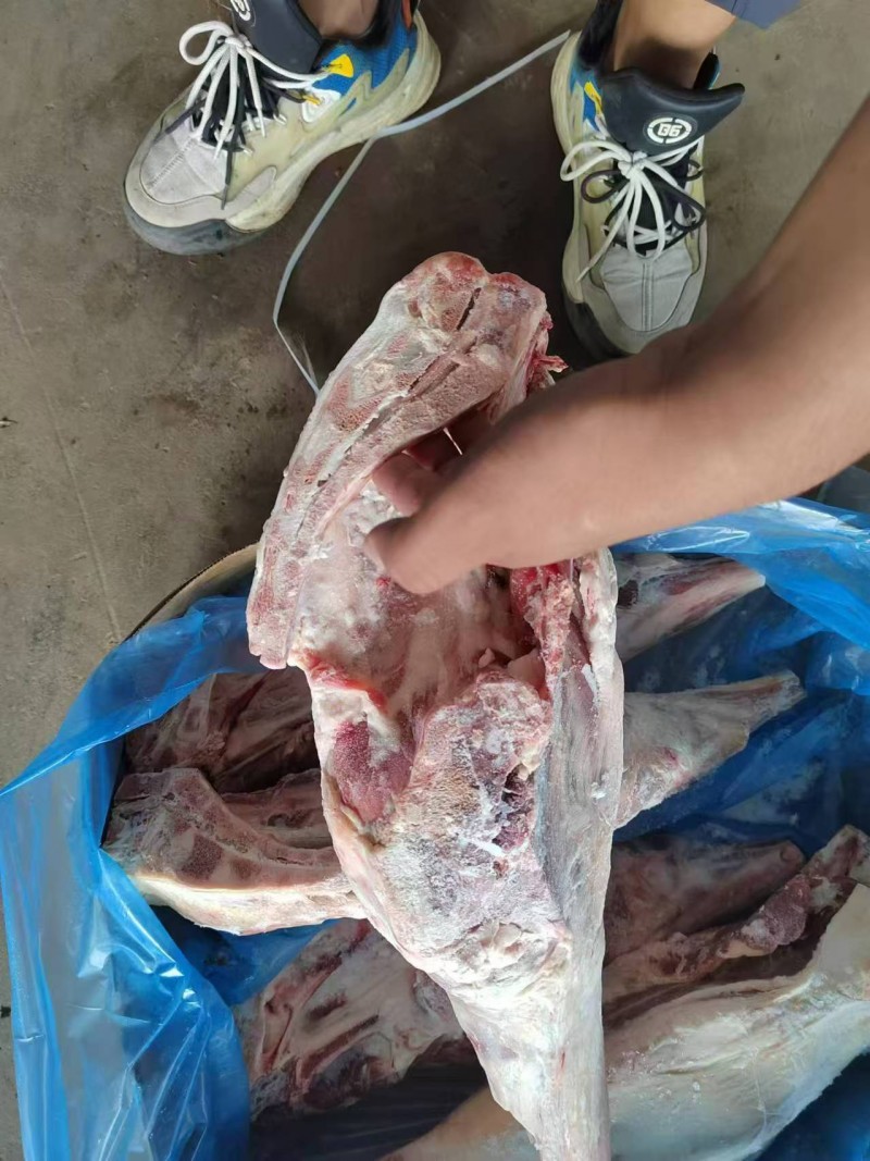 大羊后腿 26厂