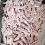 鸭翅尖