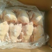 肉食鸡
