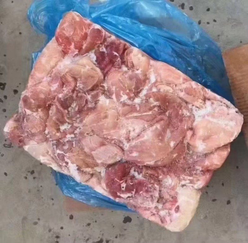 猪肚 791厂