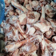 686羔羊前腿骨