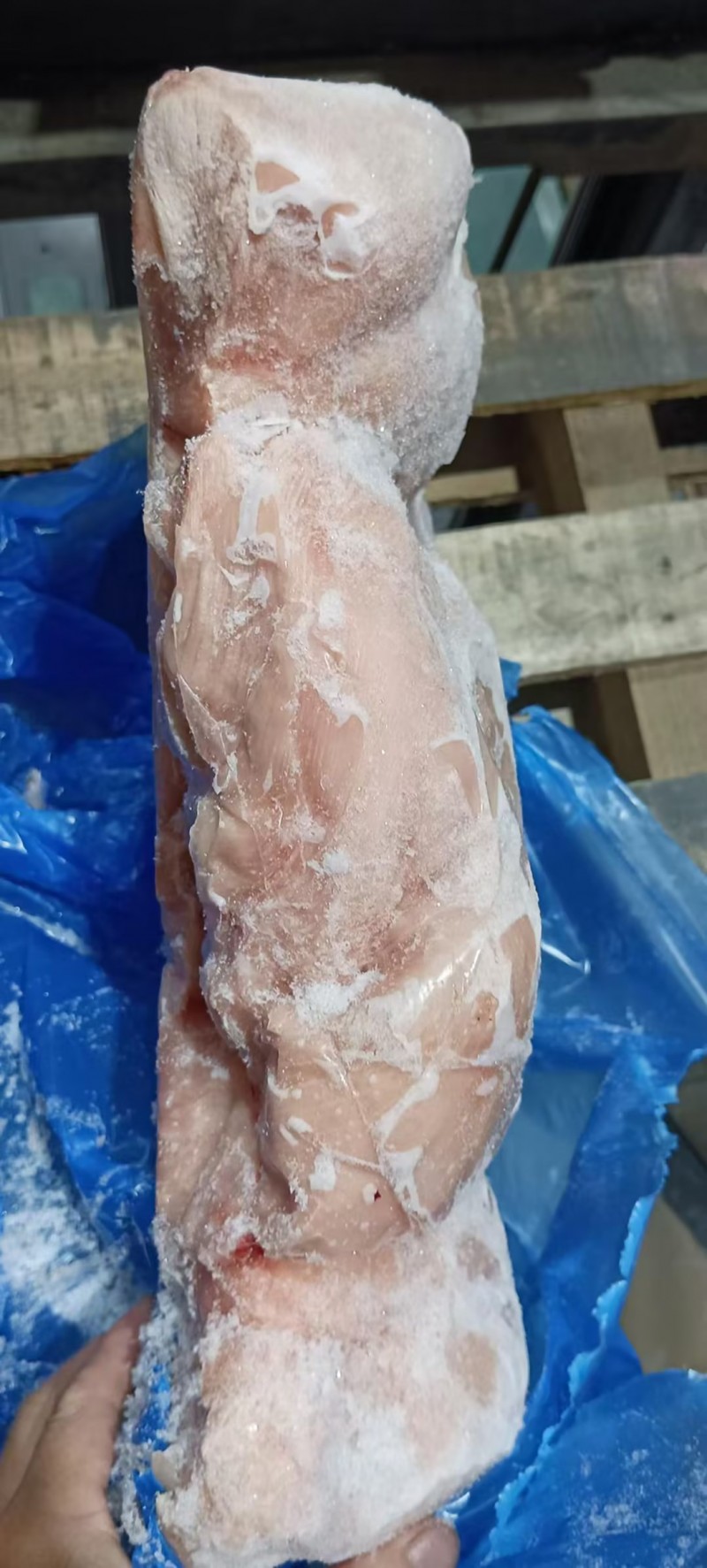 火鸡胸 058厂
