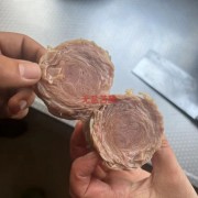 苦肠