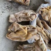 2951牛肚