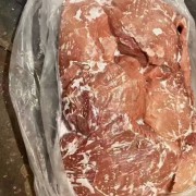 母猪胸片