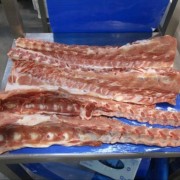 多肉背骨