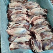 前腱子肉