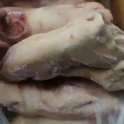 母猪二级蹄