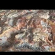 牛肉筋