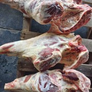 26厂大羊后腿