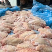 巴西4430翅中