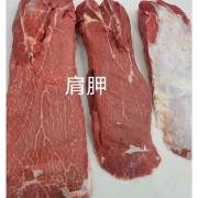 肩胛板腱