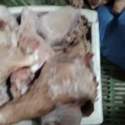 小猪后腿