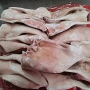 肥猪二级耳