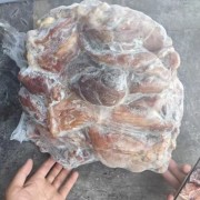 八成熟牛腱子