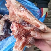 391多肉臀骨