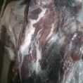 1900胸肉