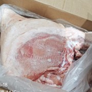 060六分体