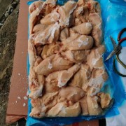 板冻大胸一柜