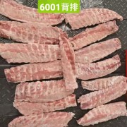 法国6001背排